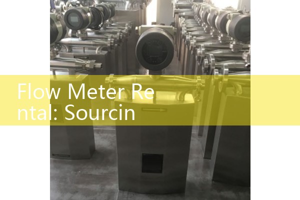 Flow Meter Rental: Sourcing Portable Clamp-On Ultrasonic Meters for Auditing